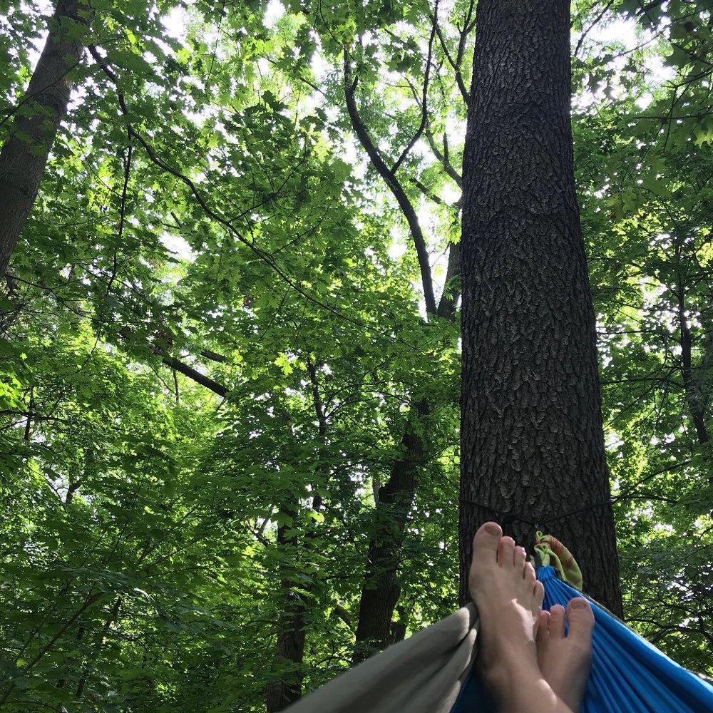 Meet your Posher, Frederica